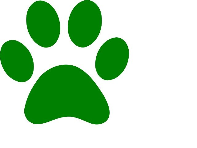 Green Dog Paw Panda Free Images N4
