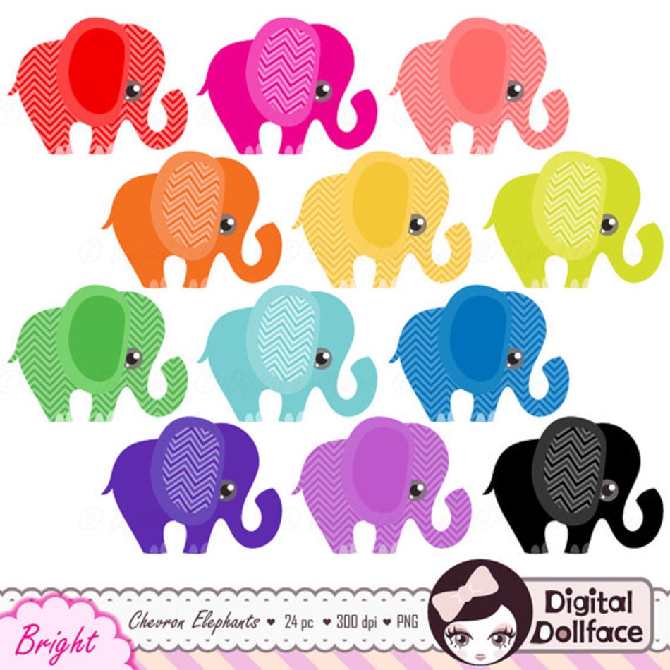 Chevron Elephant Digital Rainbow Instant