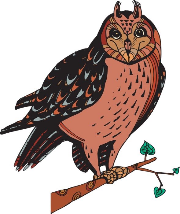 Designer Owlpng Dixie Allan