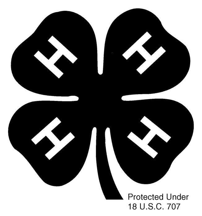 Black And White Clover drawing