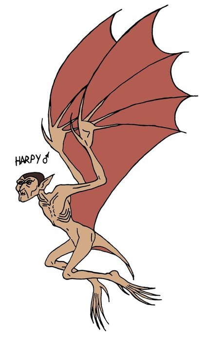 harpy as a graphic illustration