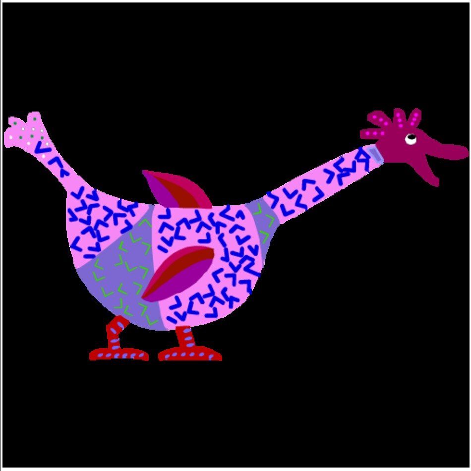 Funny Bird Birds Animal