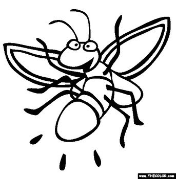 Firefly Coloring Page Free Online
