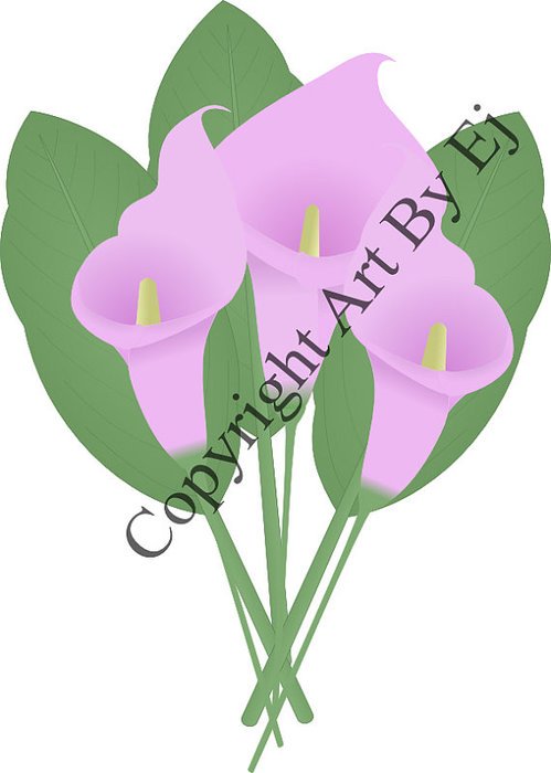 Lily Flowers Digital Graphic Art Fl00001