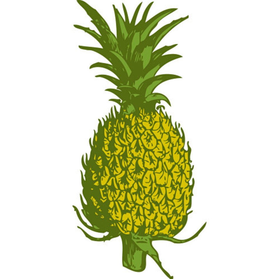 Free Realistic Pineapple