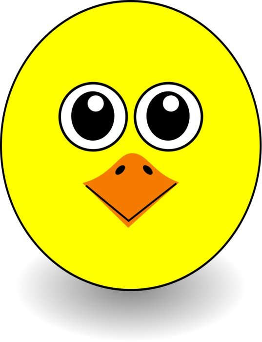 Bird Face drawing