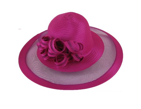 Gallery For &gt Ladies Fancy Hats