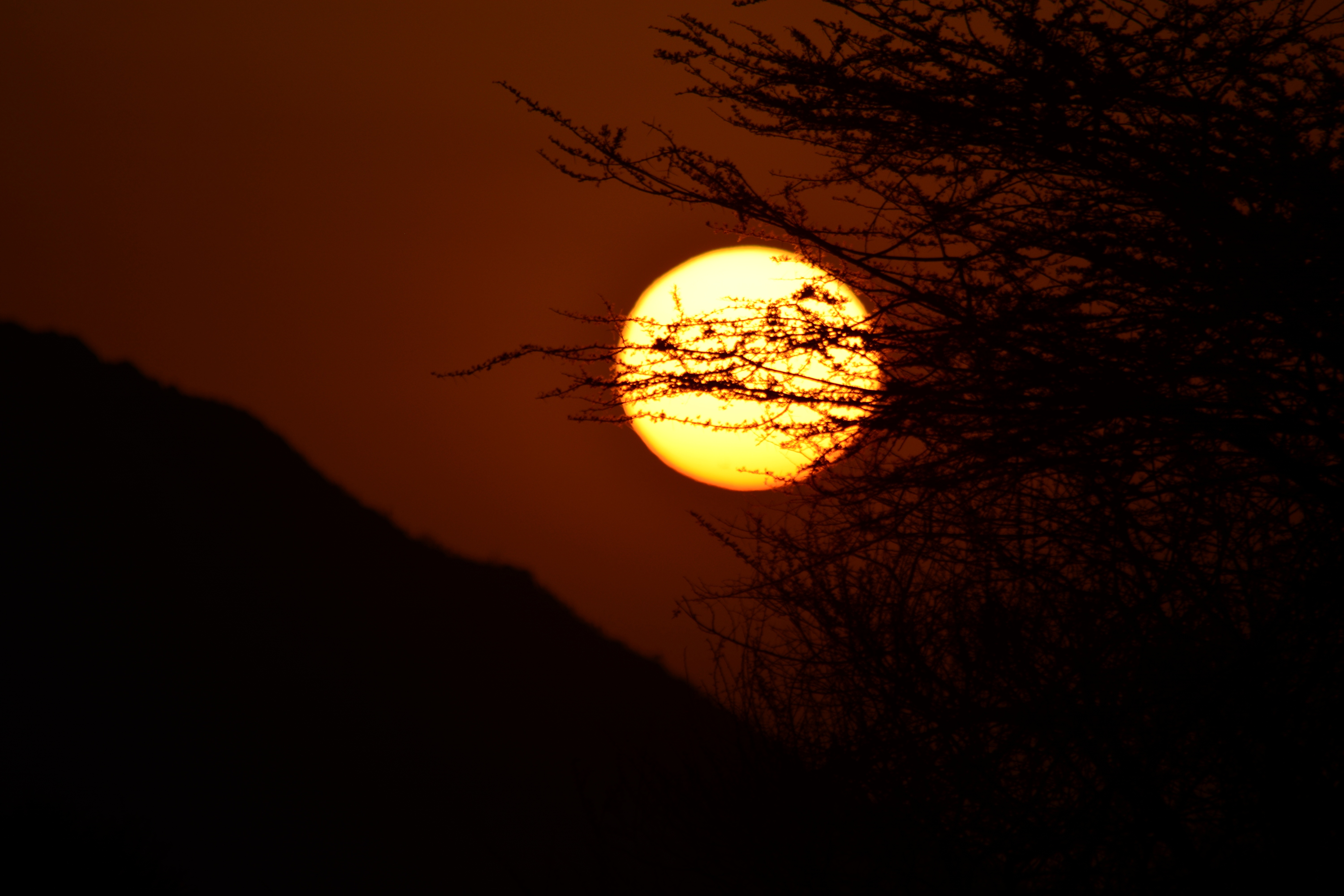 День черные ночи солнца. Солнце ночи. Луна на закате солнца. Ночное солнце. Луна в Африке.