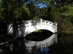 white arched bridge in the park