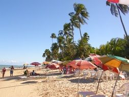 variety of beach umbrellas on the beach on a sunny day