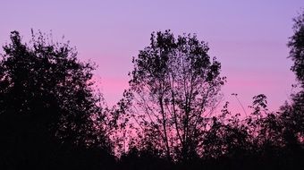 Purple sunset on a sky