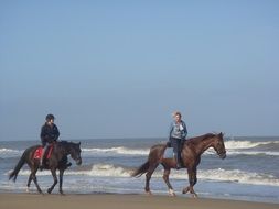 two women horse riders on beach