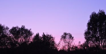 purple sky at twilight