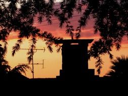 silhouettes at pink sunset sky