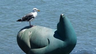 seagull on a coastal statue on a sunny day