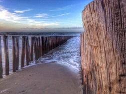 wood post Zeeland