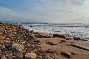 long reef in Sydney