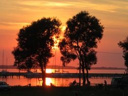 red sunset with trees silhouette