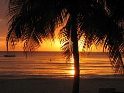 beach jamaica
