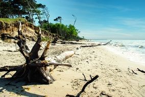 baltic sea coast dar C3 9F beach
