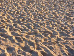 wonderful sand beach