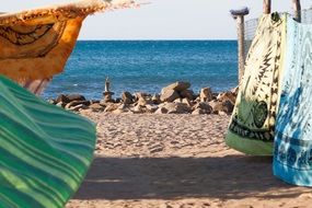 sale of colorful towels on the beach
