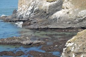 rocky pacific coast