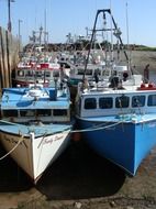 boats on the wharf in bay of fundy