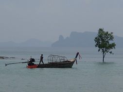 fisherman on a boat near a tree