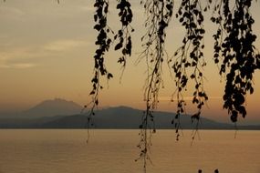 view through the branches of a lake at sunset