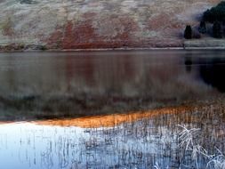 orange sunset in the reeds