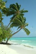 paradise beach on Maldives