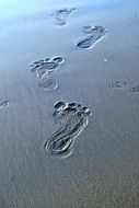 human footprints in the wet sand