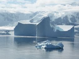 icebergs in the southern ocean