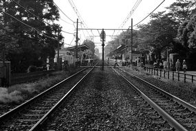 black and white photo of a railway with trees