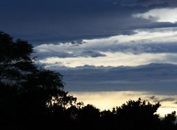 dark clouds over the tree silhouettes at colorful dusk