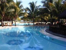 water blue in swimming pool at palm trees