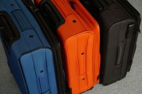 color luggage