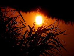 the red sun is reflected in the water