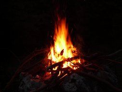 fire bonfire at night