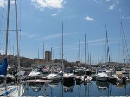 moored yachts in port