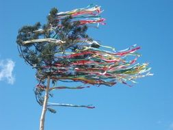 maypole ribbons swinging in the wind