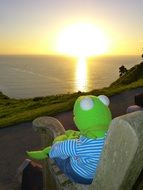 toy frog watches the sunset by the sea