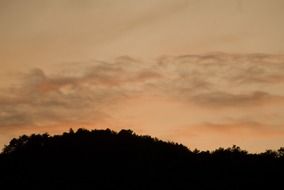 tree silhouettes against the evening sky