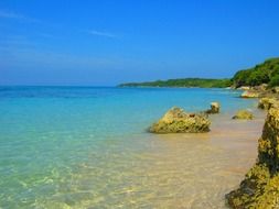 reef on the Caribbean coast in Cartagena