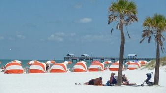 white sandy beach with palm trees