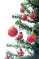 Decorated Xmas tree