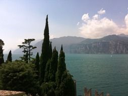 trees near a lake in italy