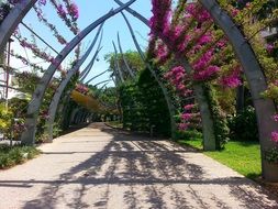 flower arches over tourist paths in Brisbane