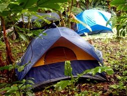 tent city in the forest